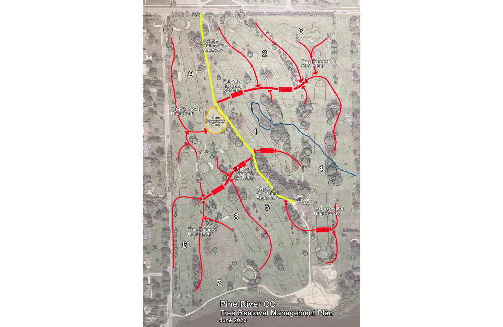 PRCC Tree Removal Plan