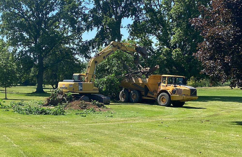 PRCC Tree Removal